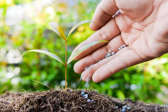 Hand düngt einen kleinen Baum